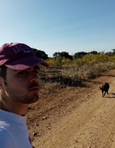 Alfonso