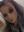 Rachel